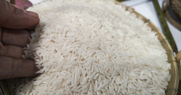 Giá lúa gạo bất ngờ giảm mạnh sau Tết- Ảnh 1.