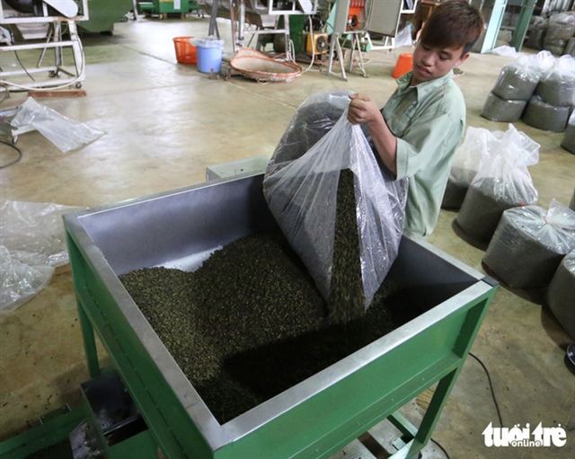 ​Vietnam’s tea exports rise 85% in January