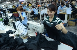 ​Absence of long-term orders force Vietnamese apparel company to sell 80,000 sqm of land