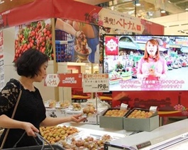 Hanoi seeks solutions to sell Vietnamese goods to foreign distribution chains