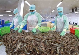 Việt Nam's shrimp exports expect growth this year