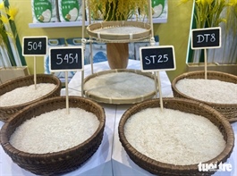 ​Vietnam enjoys increase in rice exports in early 2024