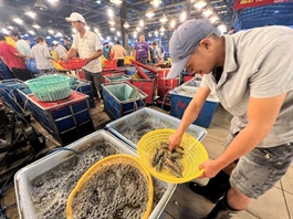 ​Japan increases shrimp imports from Vietnam