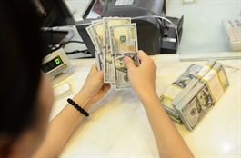 ​Vietnam's businesses face dollar headwinds