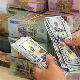 Vietnam's Central Bank ready to steady foreign exchange market