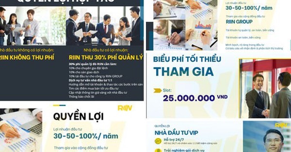 Những thông tin mời chào đầu tư vàng của Riin Group gửi đến các nhà đầu tư