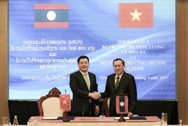 Việt Nam to issue price framework to purchase electricity from Laos in Q2
