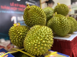 ​Vietnam overtakes Thailand to become China’s largest durian supplier