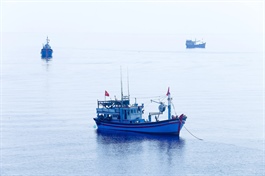 ​It is time to possibly lift IUU ‘yellow card’ against Vietnam: EU ambassador