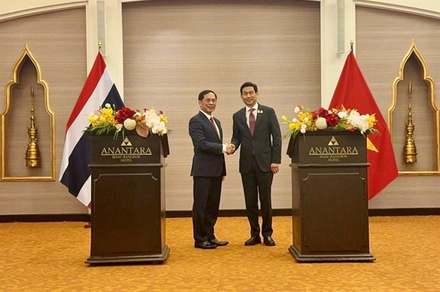 Thai Princess Maha Chakri Sirindhorn receives Vietnam’s Minister of Foreign Affairs Bui Thanh Son at their meeting in Bangkok on April 11, 2024. Photo: Vietnamese Ministry of Foreign Affairs