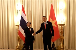 ​Vietnam, Thailand vow to reach two-way trade of $25bn soon