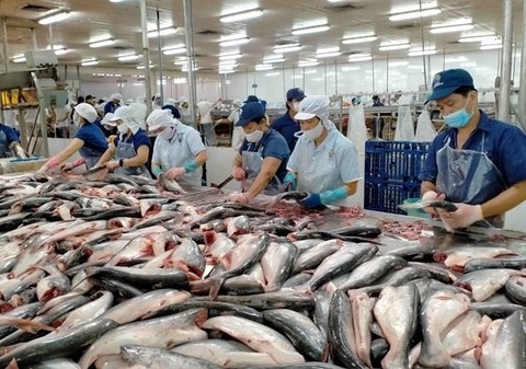 Q1 sees China, US and Japan as top importers of Việt Nam's fishery products