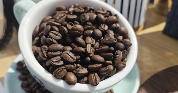 Giá cà phê trong nước tăng như vũ bão, tiến sát 120.000 đồng/kg- Ảnh 1.
