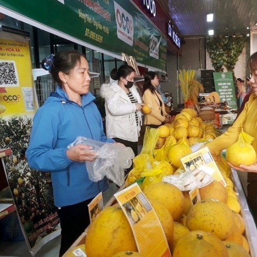 Hanoi aims to lead the country in exporting OCOP products