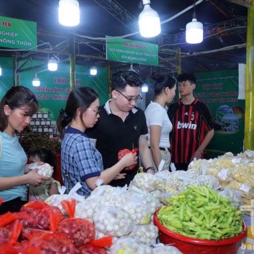 Hanoi and Thai Nguyen strengthen cooperation in trade, investment and tourism