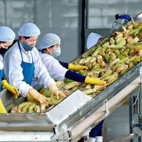 Vietnamese fruit and vegetable exports see sharp upturn