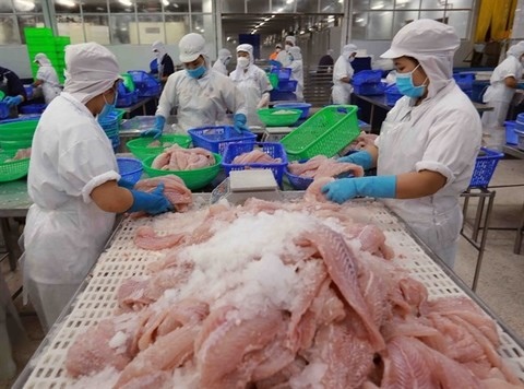 VN seafood exports up 6% in first four months
