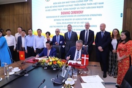 Việt Nam-Denmark cooperate for a sustainable agriculture