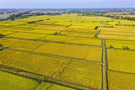 ​Vietnam’s carbon market: Balancing finite credits and sustainable emission reductions