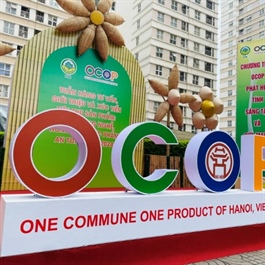 Hanoi accelerates OCOP consumption citywide