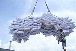 ​Concerns increase as Vietnam’s Loc Troi Group wins rice exporting bids at low prices