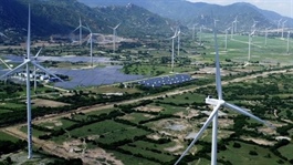 Việt Nam among ASEAN leaders in green transition