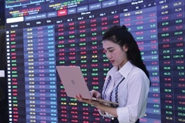 Non-traditional security risks pose threat to Vietnamese stock market