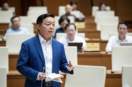 ​Deputy premier wants Vietnamese e-commerce platform