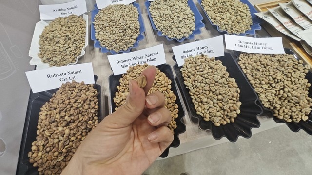 Giá cà phê Robusta vượt Arabica, chuyện chưa từng có trong hơn 50 năm- Ảnh 1.