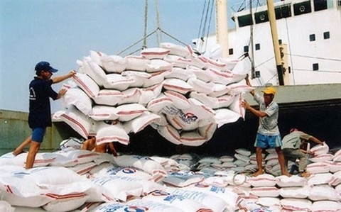Việt Nam remains the Philippines' largest rice export partner