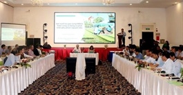 Workshop highlights Việt Nam's potential for developing circular economy from rice by-products