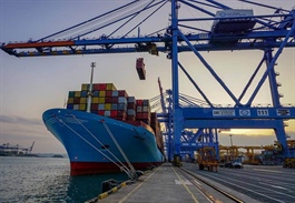 Một nhóm cổ đông giảm sở hữu tại HAH xuống dưới 5% trước thềm chốt quyền chia cổ tức