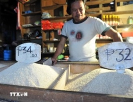 Philippines announces 20 per cent tariff cut for imported rice