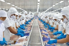 Vĩnh Hoàn's profit to soar on rising tra fish export prices