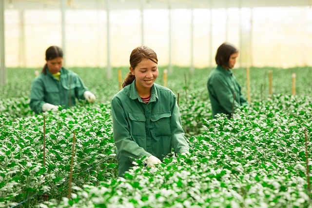 AI NEWS - Nền tảng tin tức chứng khoán