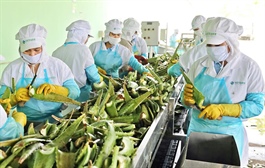 Tập đoàn AIG nâng sở hữu tại GC Food lên trên 14%