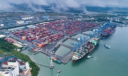 Quỹ ngoại America LLC giảm tỷ lệ tại TCL về dưới 8% trước ngày chốt quyền trả cổ tức