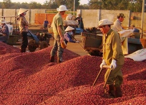 Coffee exports exceed $3 billion