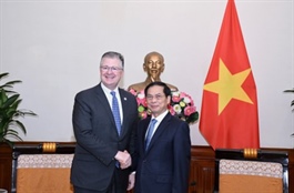 ​Vietnam sees US as strategically important partner: FM