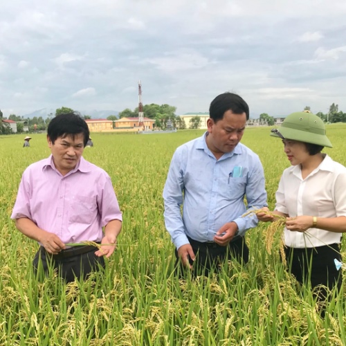 Hanoi expands supply chain model of agricultural product