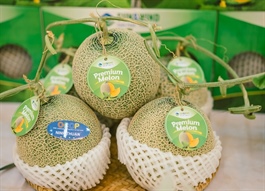 Cổ đông lớn GCFood đã sang tay hơn 1.5 triệu cp cho Tập đoàn AIG?