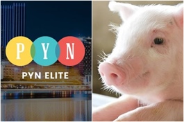 Cá mập PYN Elite liên tục gia tăng sở hữu tại Dabaco