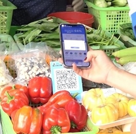 Hanoi supports digital agriculture transition
