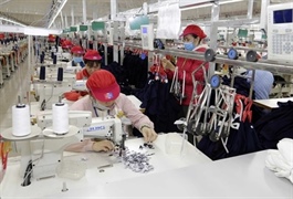 Ample space for Việt Nam to boost exports to the US, experts