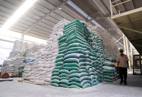 Vietnamese rice export prices stay high in H1