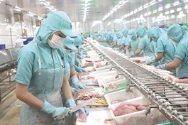 Seafood exports up 7%