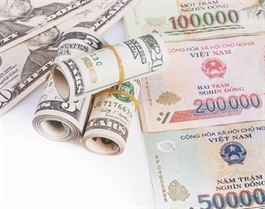 Foreign exchange rates to remain under pressure in H2 2024