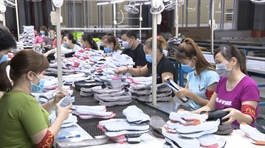 ​Vietnam’s leather-footwear sector should go green for better competitiveness: int’l workshop