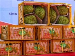 Việt Nam's trade value with China expected to reach $200b this year