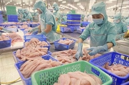 CPTPP supports Vietnamese pangasius exports